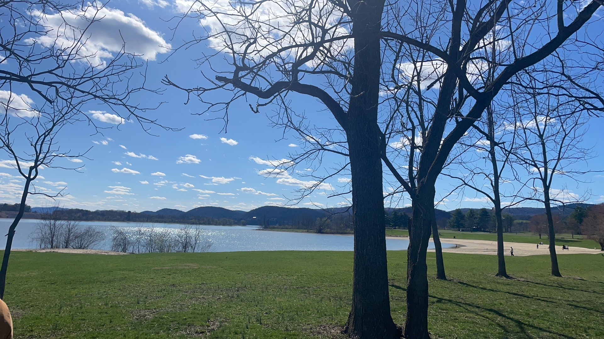 A warm and bright spring afternoon in State College.